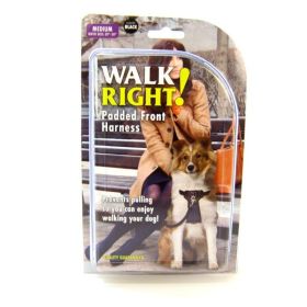 Coastal Pet Walk Right Padded Harness