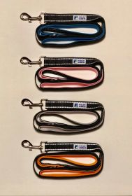 Double handle reflective leash
Blue